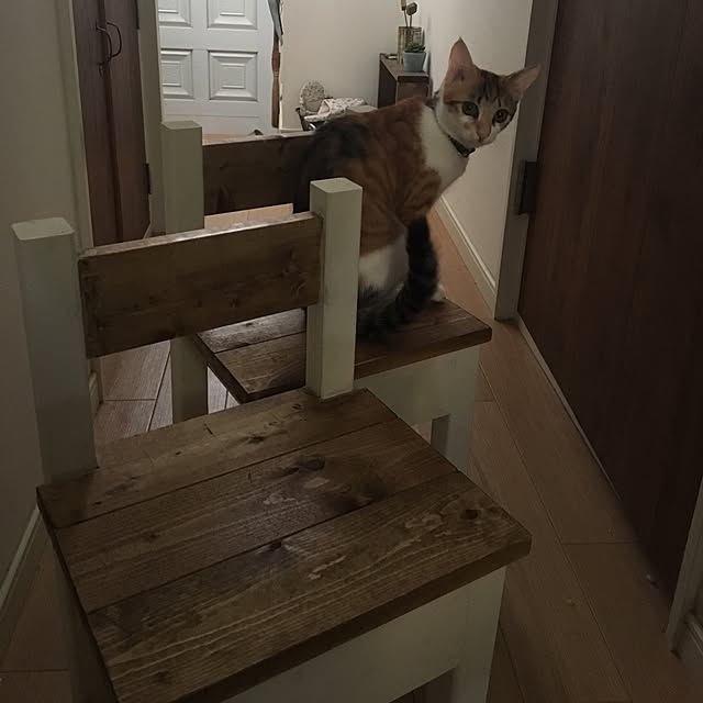 Kumiさんの実例写真