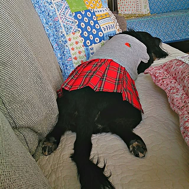 cloverさんの実例写真