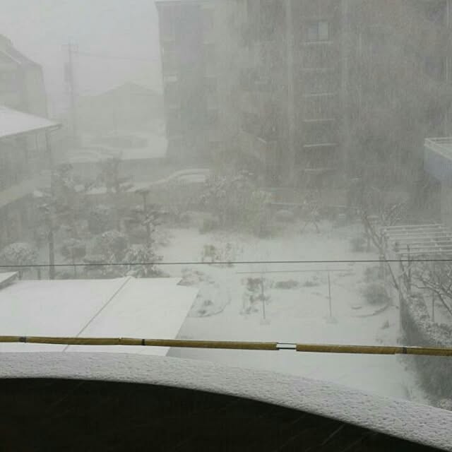 writer-machikaさんの実例写真