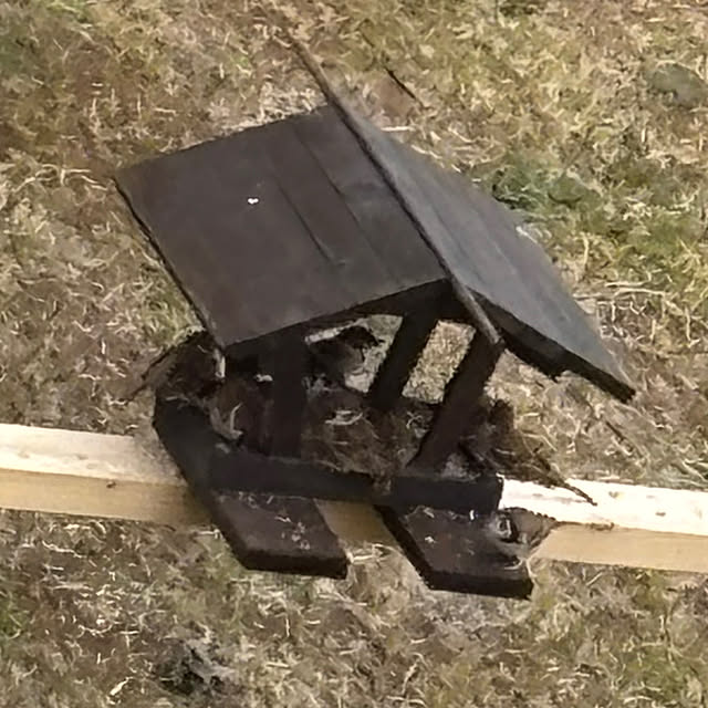 bonber0212さんの実例写真