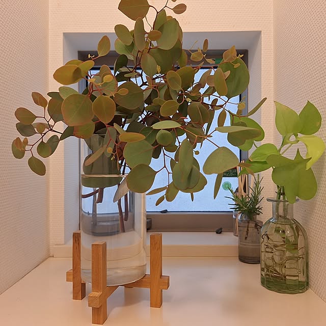 バス/トイレ/プチプラインテリア/フラワーベース/こどもと暮らす/花のある暮らし...などのインテリア実例 - 2025-06-02 19:22:39