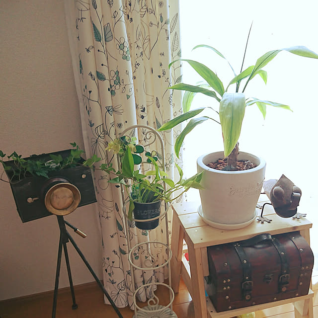 sena.masato.mamaさんの実例写真