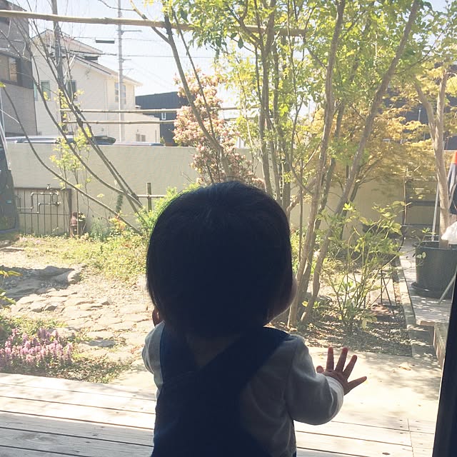 koharubiyoriさんの実例写真
