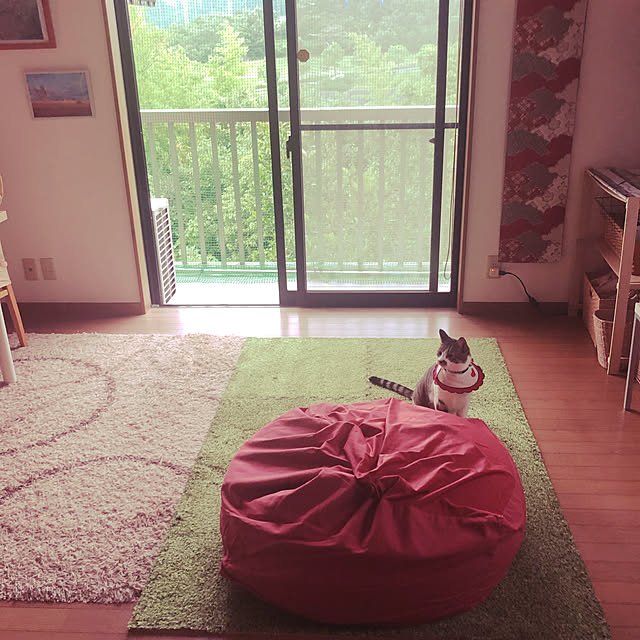 jijiさんの実例写真