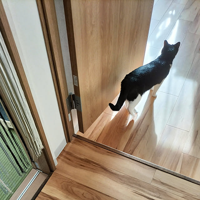 hihaさんの実例写真