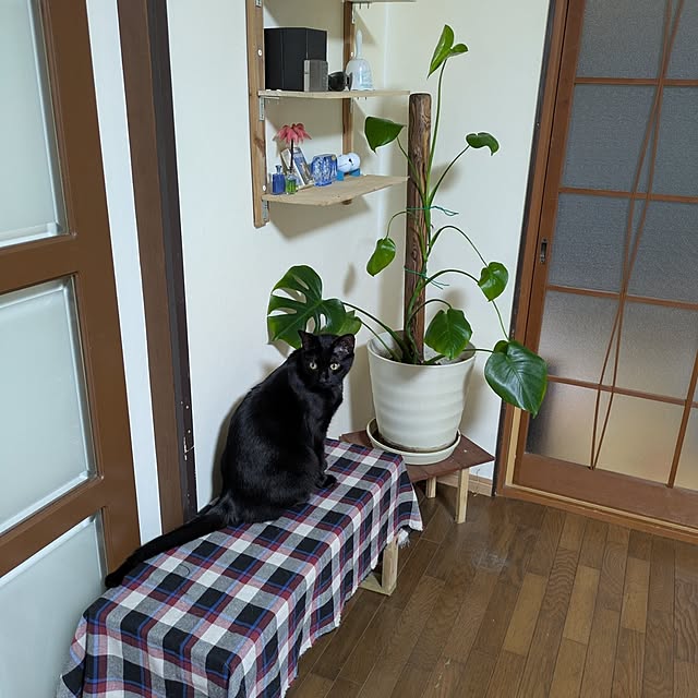 実例写真