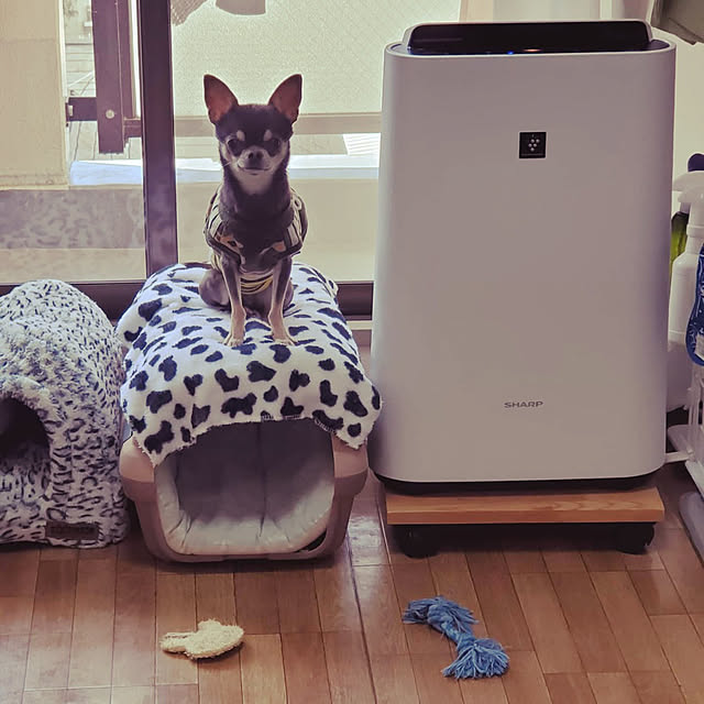 gkmdokinさんの実例写真