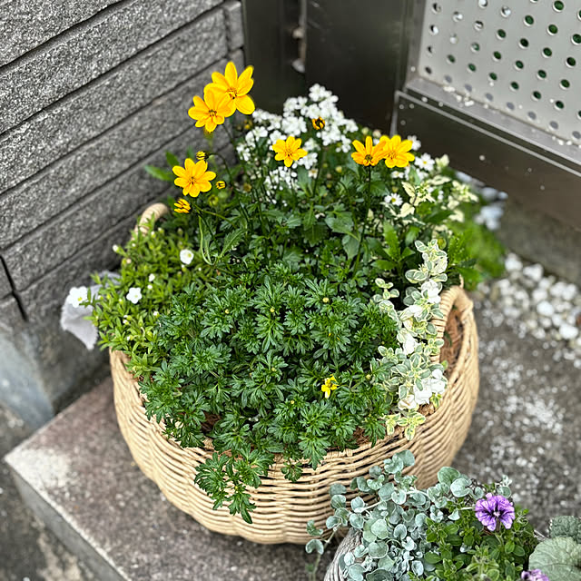 maayaさんの部屋