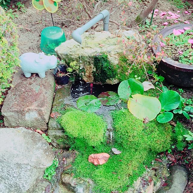 a9304nさんの実例写真