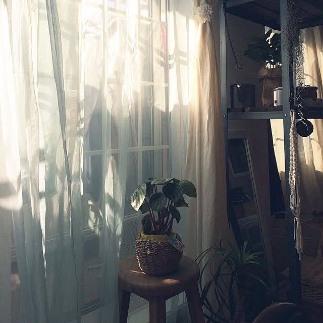 nobuさんの実例写真