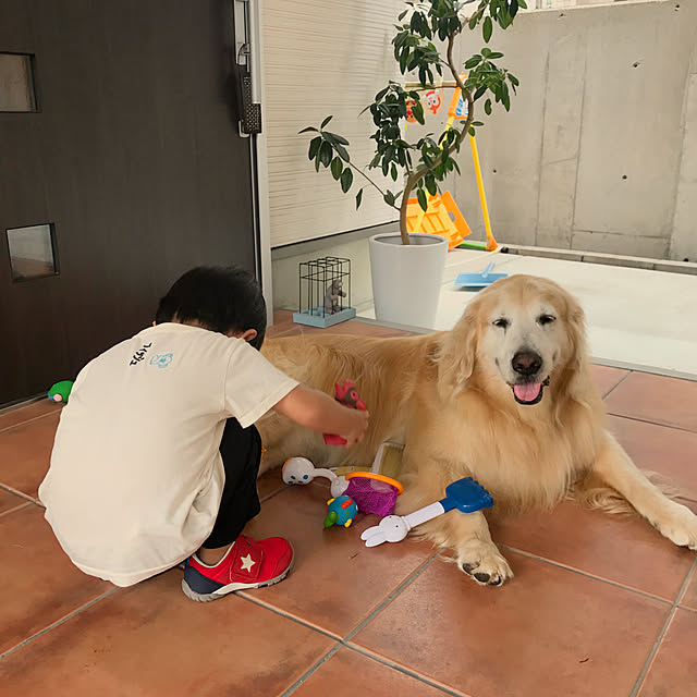 実例写真