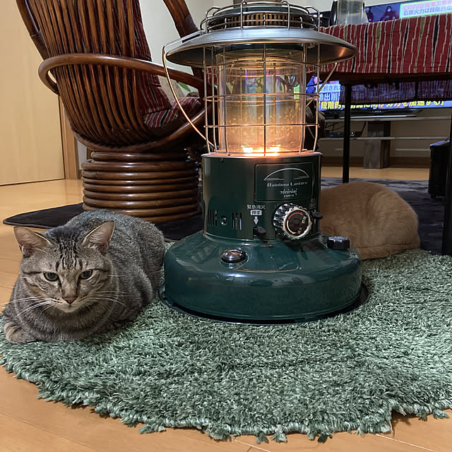 mikan161さんの実例写真