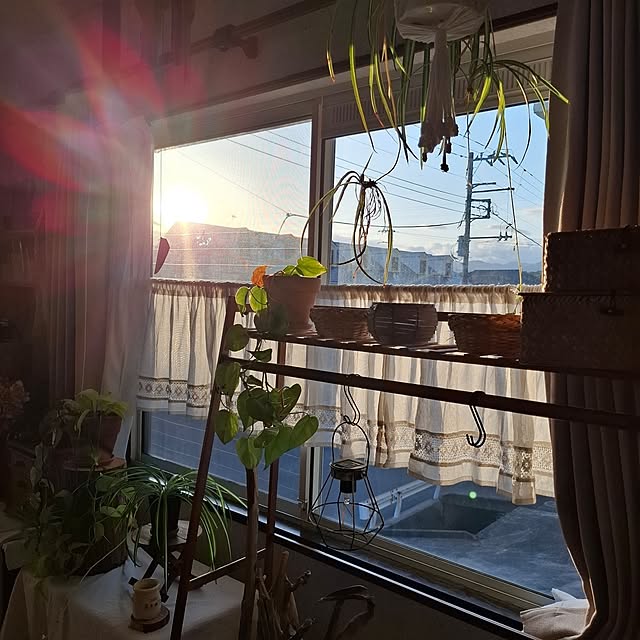 midoriさんの部屋