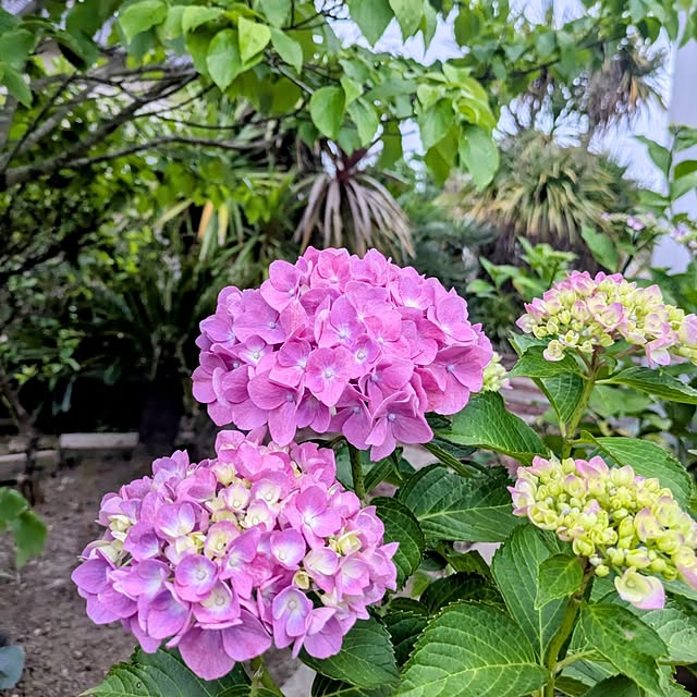 ot-gardenさんの実例写真