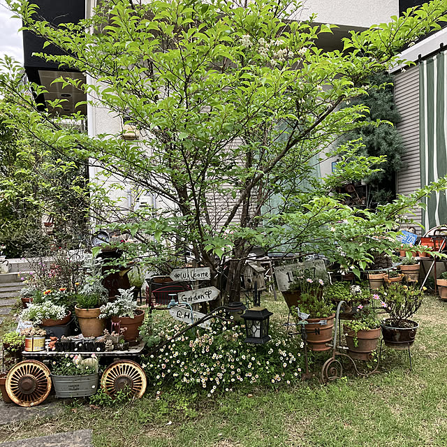michi-michi39さんの実例写真