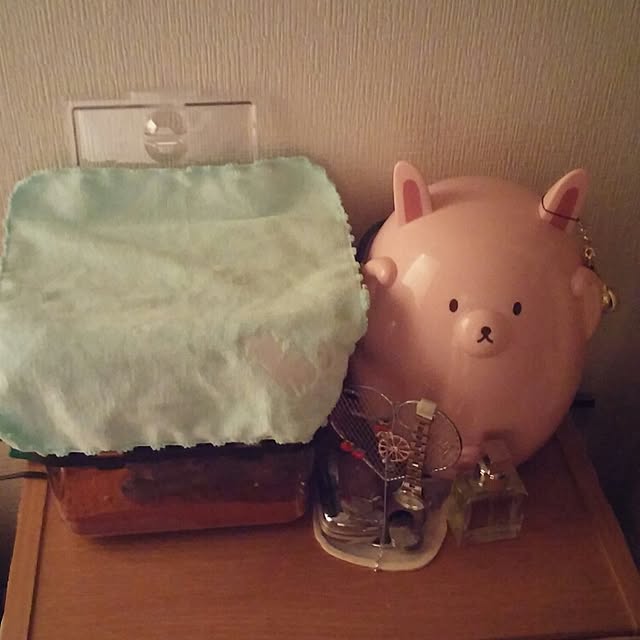 Cocoさんの実例写真