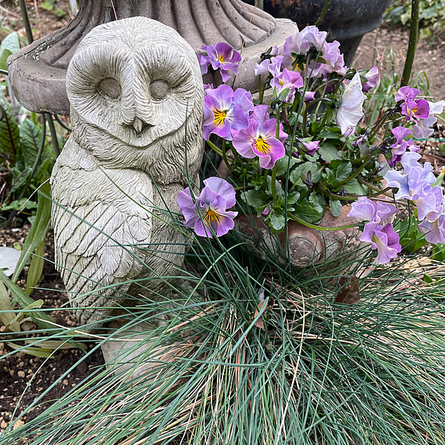 cottageroseさんの実例写真