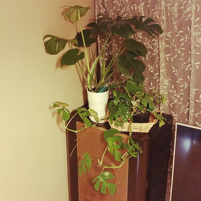 eritanさんの実例写真