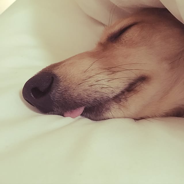 mariaさんの実例写真