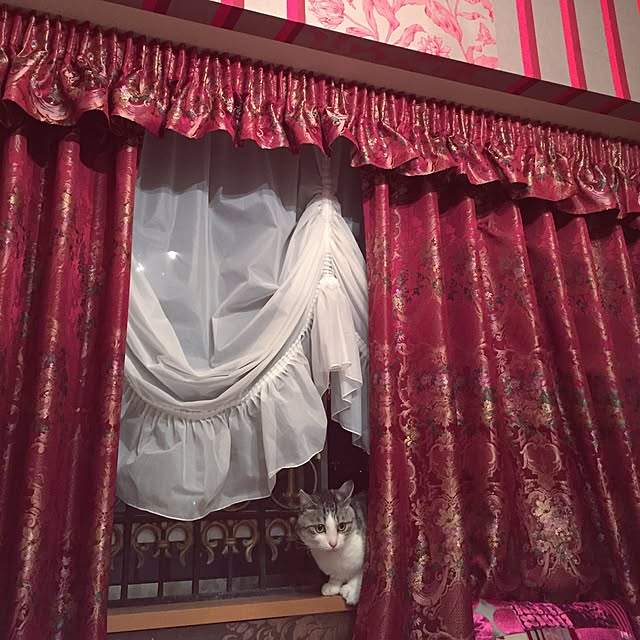 emmyyさんの実例写真