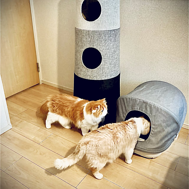 H.Tさんの実例写真