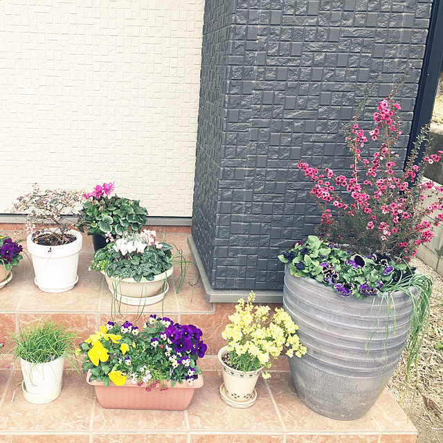 1546さんの実例写真