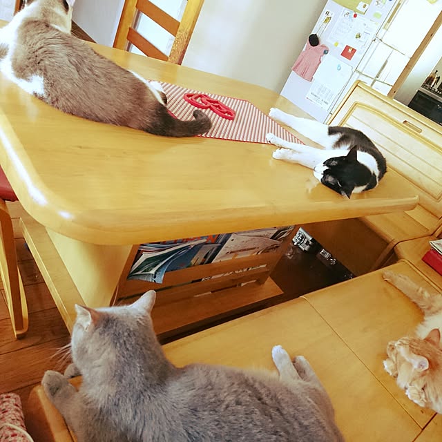 uchizukonyanさんの実例写真
