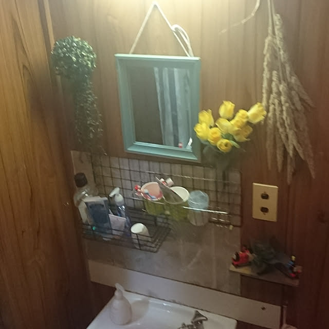 バス/トイレ/セリア/DIYのインテリア実例 - 2019-03-22 18:58:33