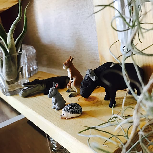 nekokaさんの実例写真