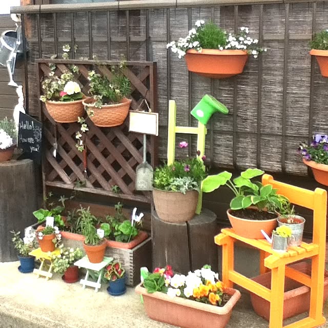 玄関/入り口/植物/セダム/カーペットかすみ草/アイビー...などのインテリア実例 - 2013-05-15 13:55:08