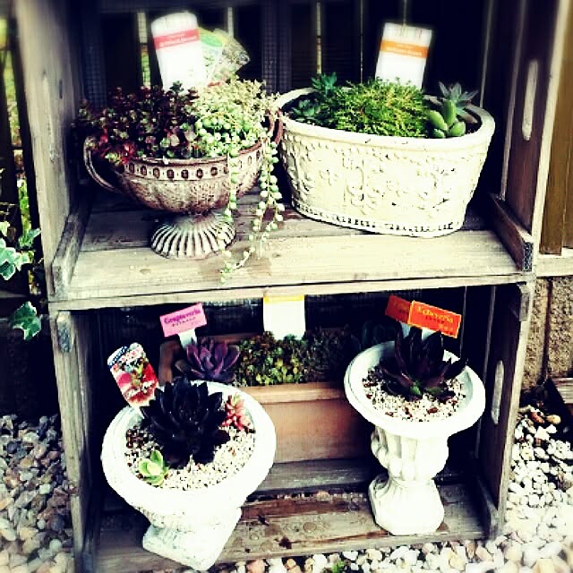 MIARAさんの実例写真