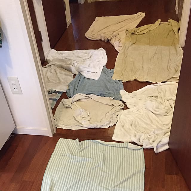 estrella_de_tabiさんの実例写真