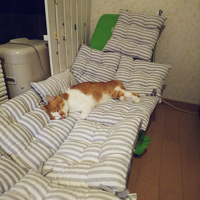 uutann320mozukuさんの実例写真