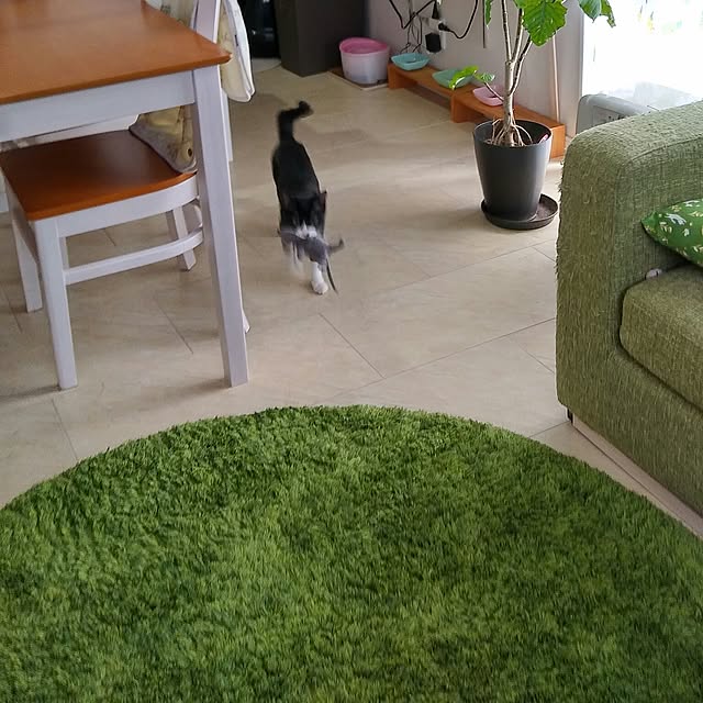 Gomaさんの実例写真