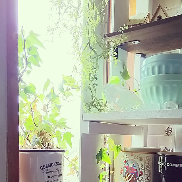 sunflowerさんの実例写真