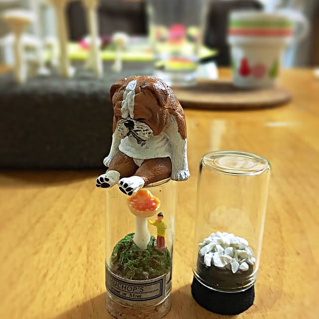 ramuchop3000さんの実例写真