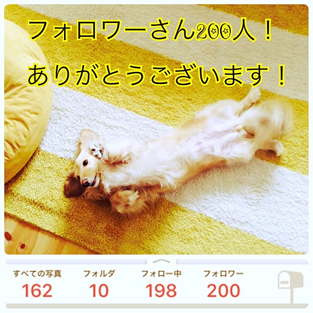 Erinさんの実例写真