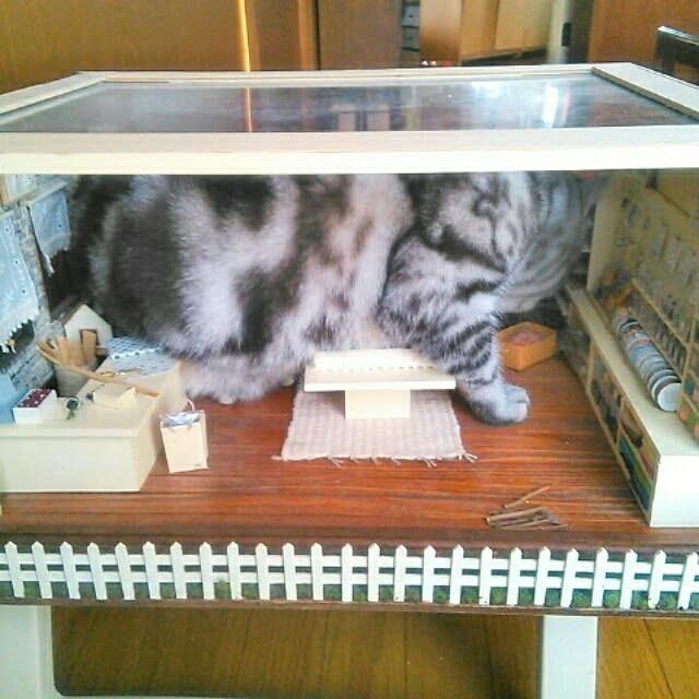 masayoさんの実例写真