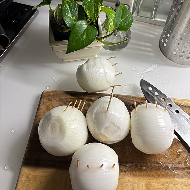 syutmmさんの部屋