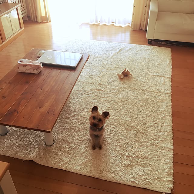 mayuoさんの実例写真