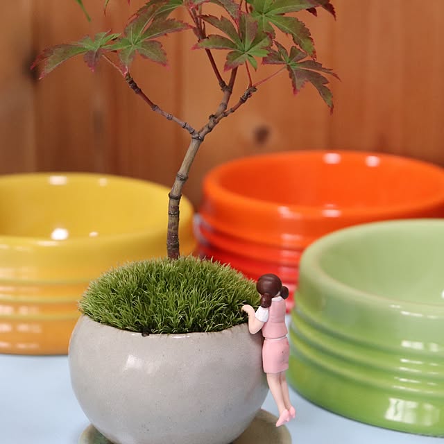 kyasamaruoさんの実例写真