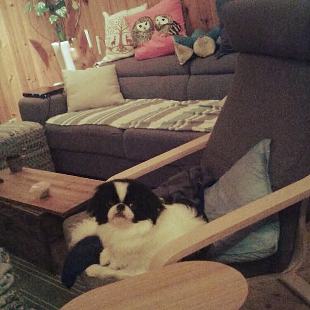 aiuekkoさんの実例写真