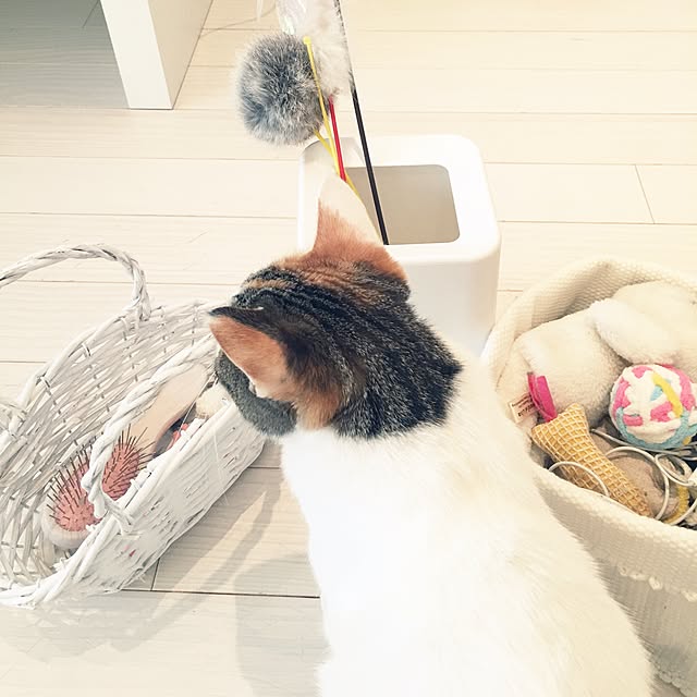 koumeさんの実例写真