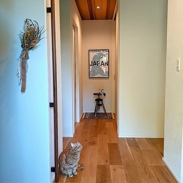 hagyu7kuroさんの部屋