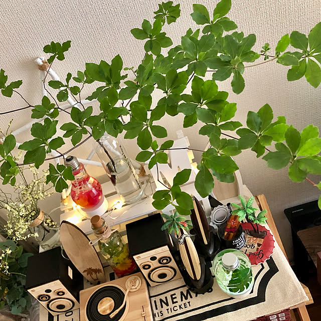 M_Mさんの実例写真