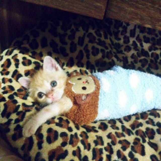 J.BOYさんの実例写真