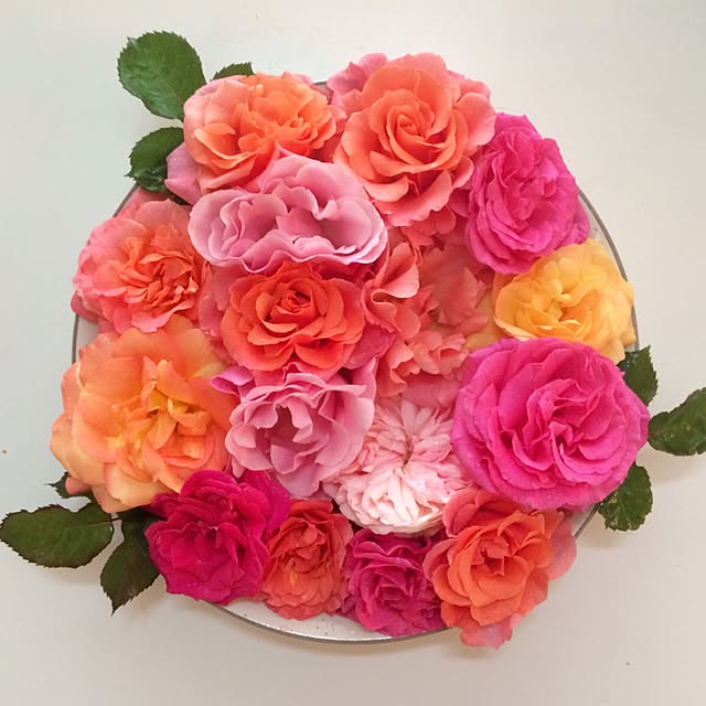 HappyRoseさんの実例写真