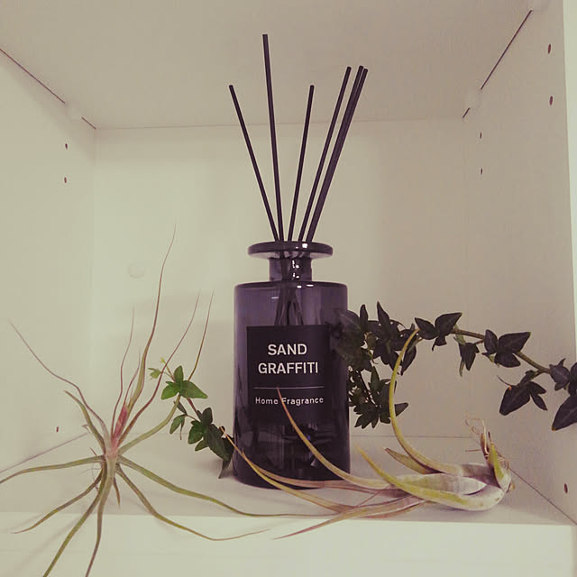 棚/観葉植物/エアープランツのインテリア実例 - 2019-02-04 19:34:52