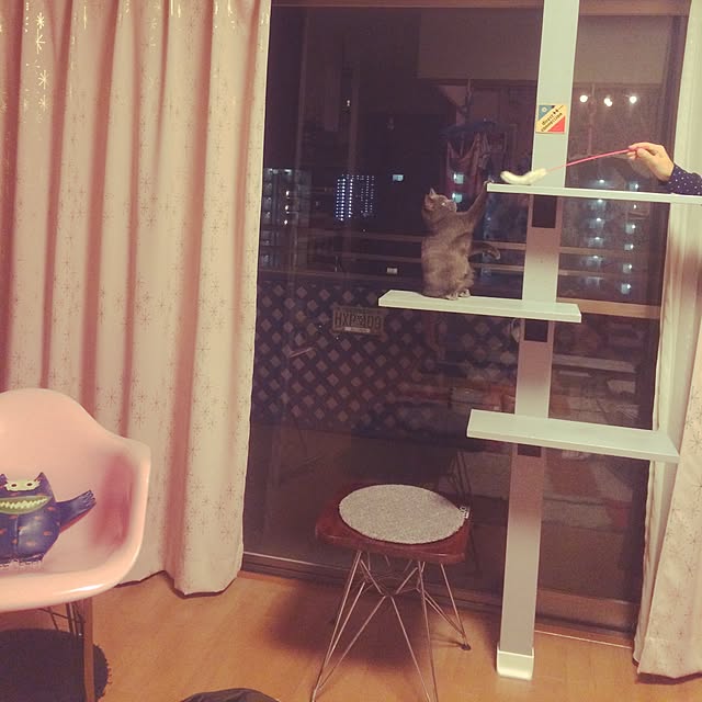 Shojiさんの実例写真