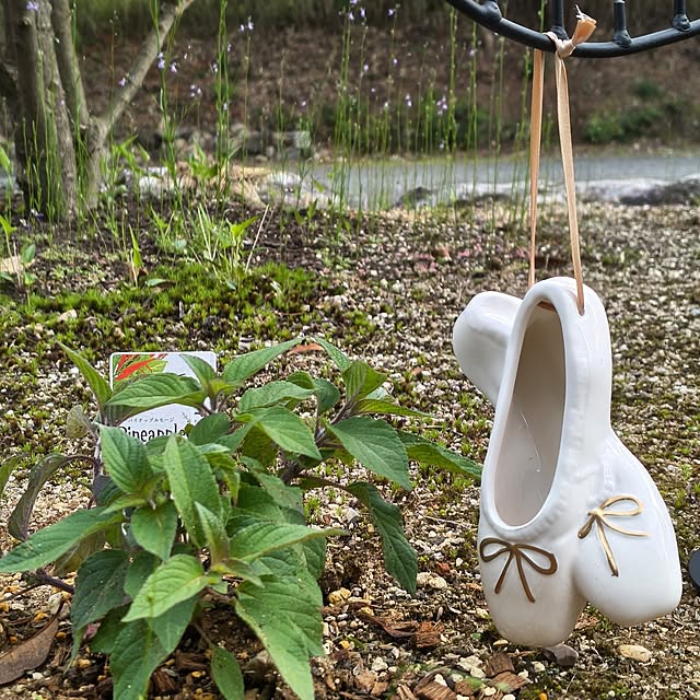 Rubiconさんの実例写真